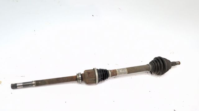 9684134880 Peugeot/Citroen