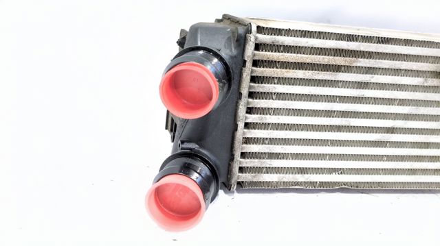 9800291280 Peugeot/Citroen