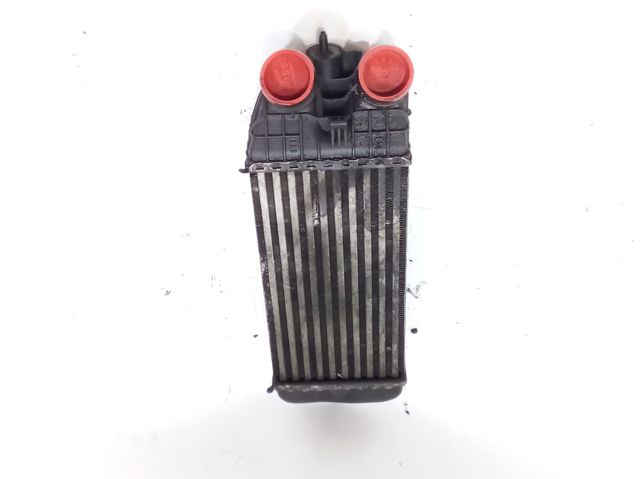 9803900780 PEUGEOT Intercooler  comprar en Oviedo