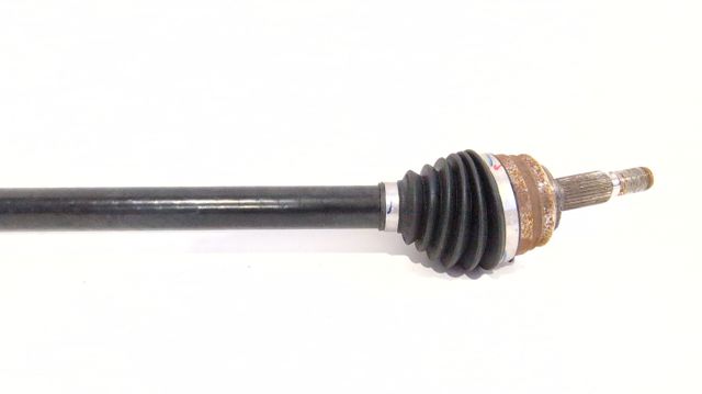 9806699780 Peugeot/Citroen