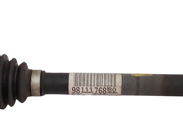 9811176880 Peugeot/Citroen