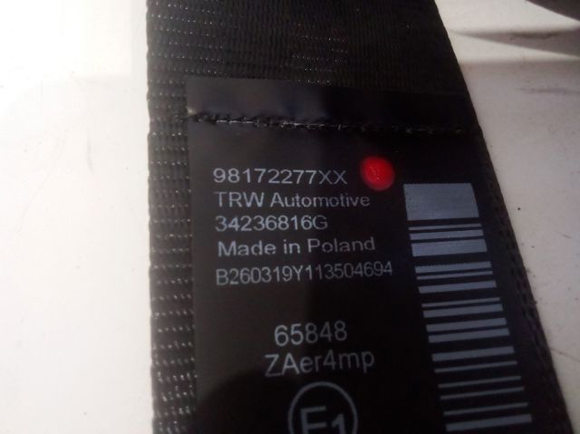 98172277XX Peugeot/Citroen