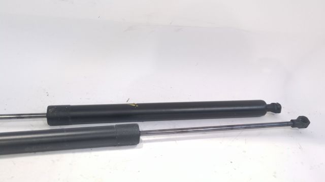 9819027880 Peugeot/Citroen