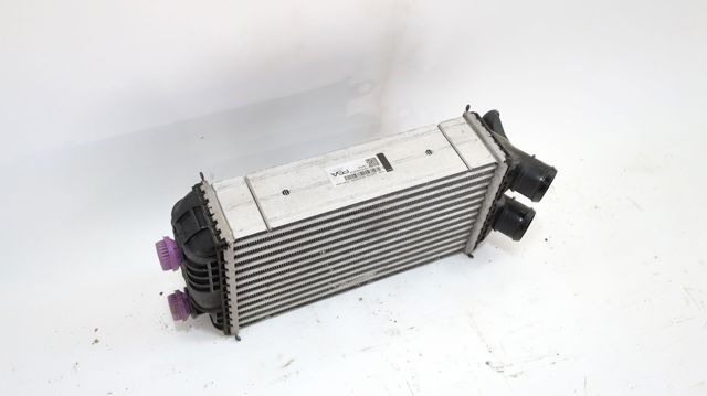 9825341380 Opel