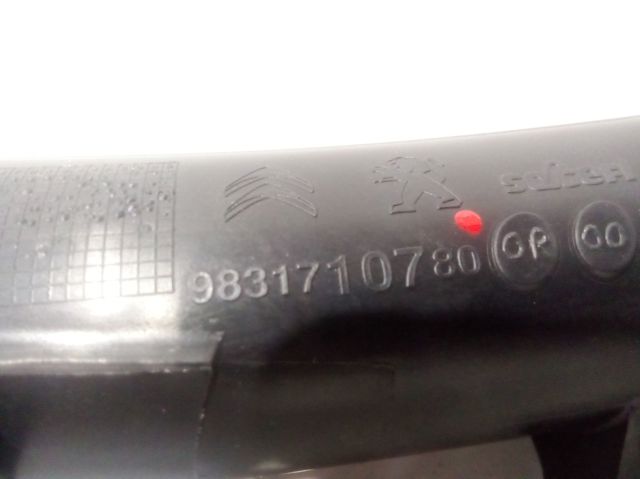 9831710780 Peugeot/Citroen