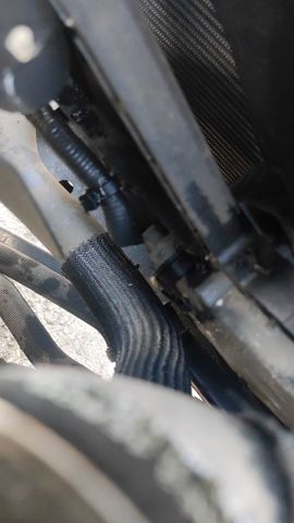Ventilador, refrigeración motor 214814EB0B NISSAN