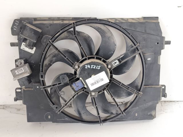 214818009R Renault (RVI)