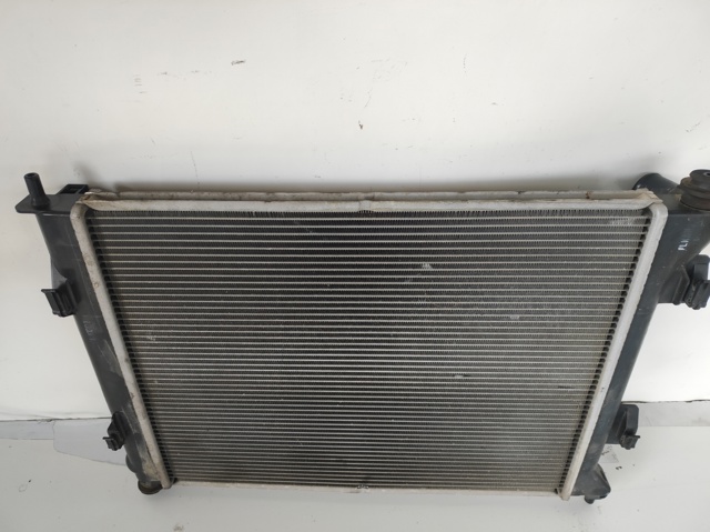 253101P600 Hyundai/Kia