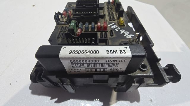 9650664080 PEUGEOT Caja de fusibles  comprar en Oviedo