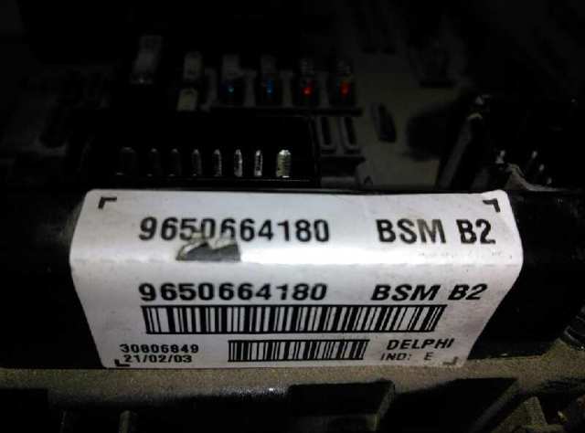 9650664180 Peugeot/Citroen