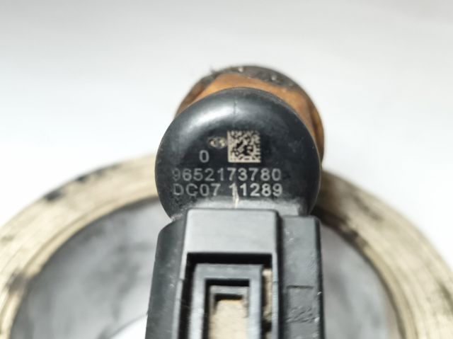 9652173780 Peugeot/Citroen