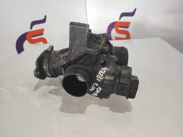 9655971780 Peugeot/Citroen
