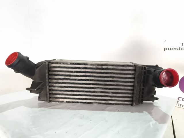Radiador de aire, intercooler Citroen C5  (RD)