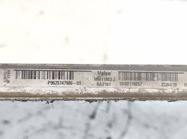 9675747980 PEUGEOT Radiador comprar Bilbao