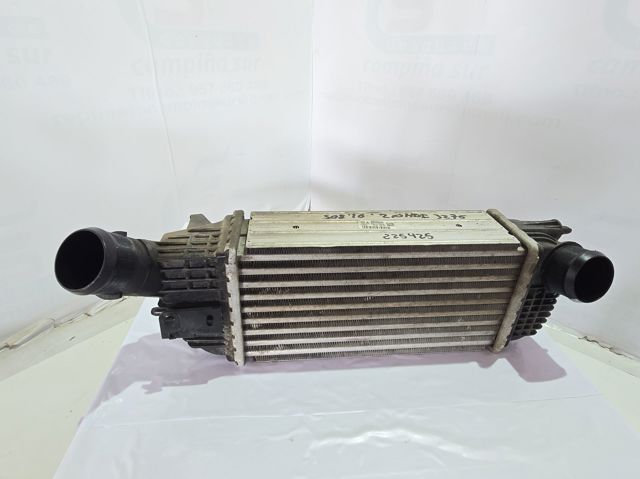9683009680 Peugeot/Citroen