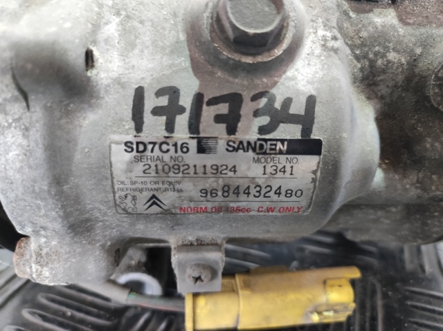 9684432480 Peugeot/Citroen