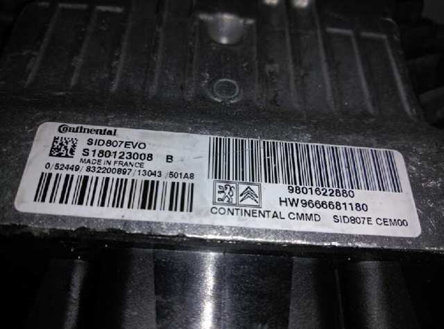 9801622880 Peugeot/Citroen