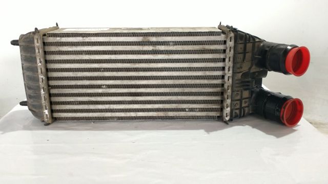 9803900780 Peugeot/Citroen