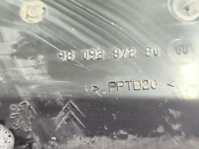9809287280 Peugeot/Citroen