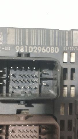 9810296080 Peugeot/Citroen