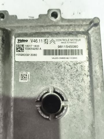 9811545080  en stock Castellón