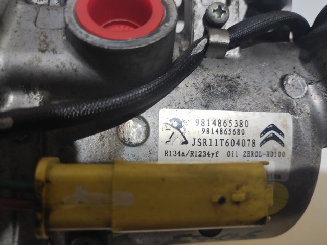 9814865380 Peugeot/Citroen
