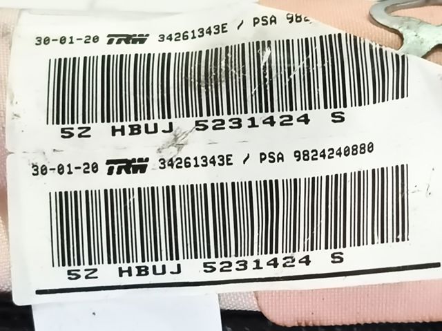 9824240880 OPEL Airbag de cortina lateral izquierda comprar Madrid