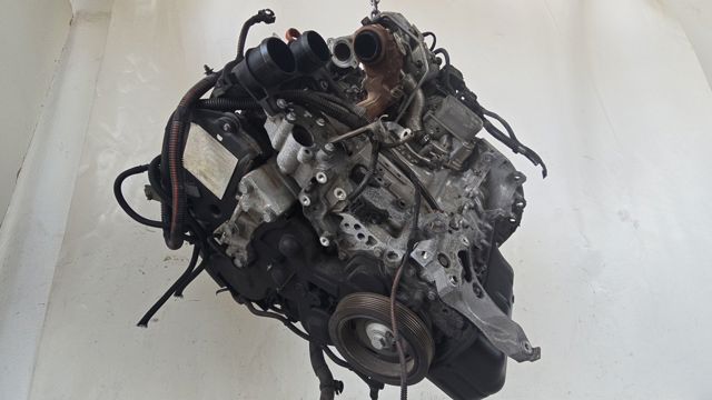 BHY Peugeot/Citroen
