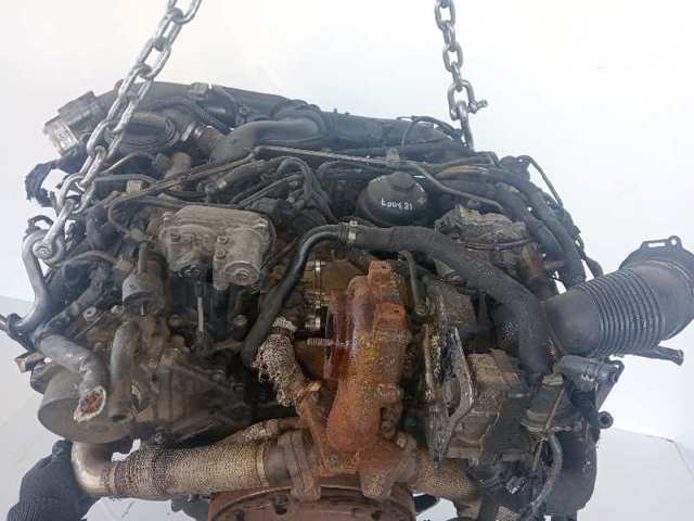 BPP VAG