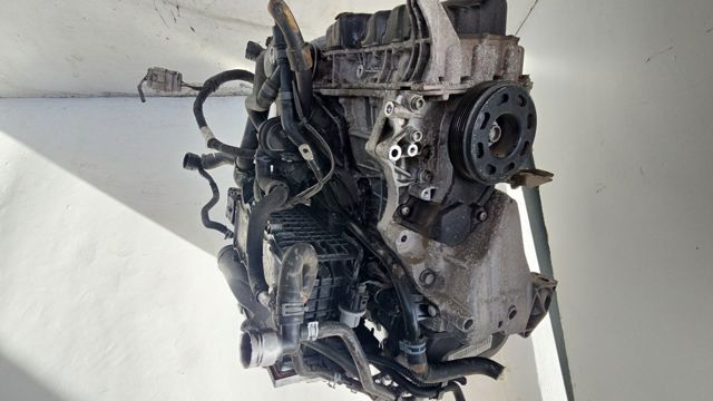 CHP VAG