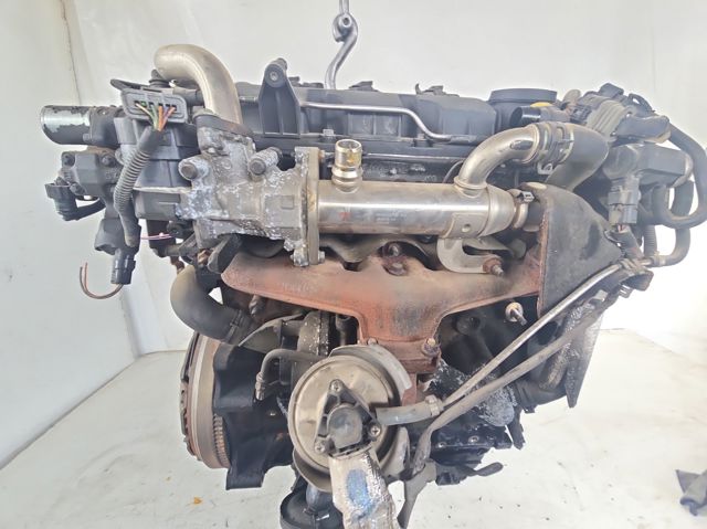 RHJ Peugeot/Citroen