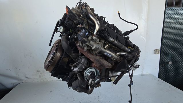RHR Peugeot/Citroen