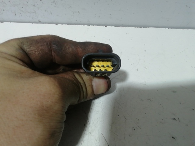 0258006295 Renault (RVI)