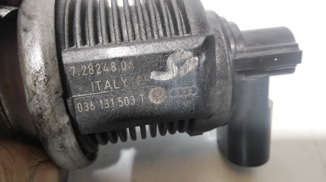 EGR 036131503T VAG
