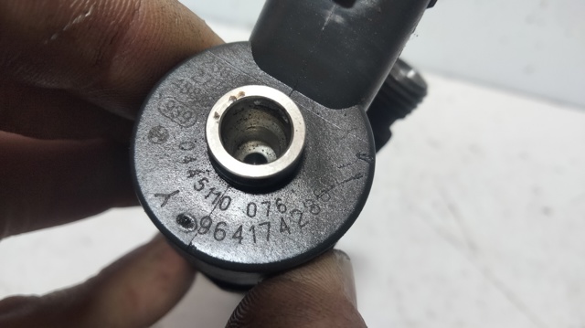 0445110076 Peugeot/Citroen