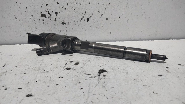 Inyector de combustible 0445110259 PEUGEOT