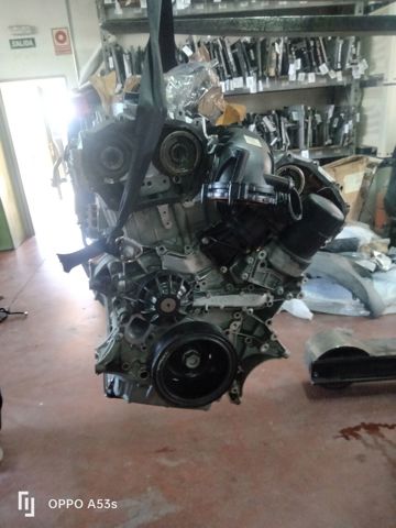 276823 Mercedes