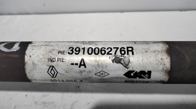391006276R Renault (RVI)