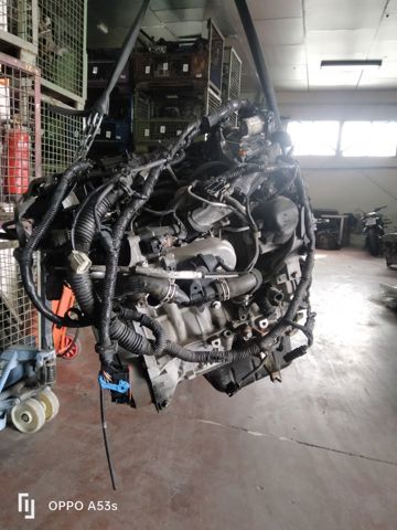 4489638 Ford