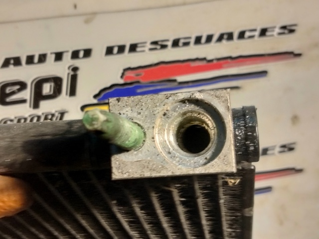 4R8319C600CA Jaguar