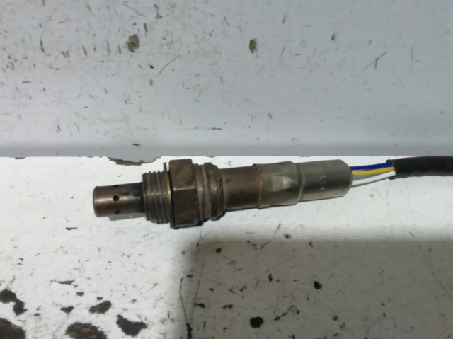 Sensor de oxígeno 55191127 FIAT