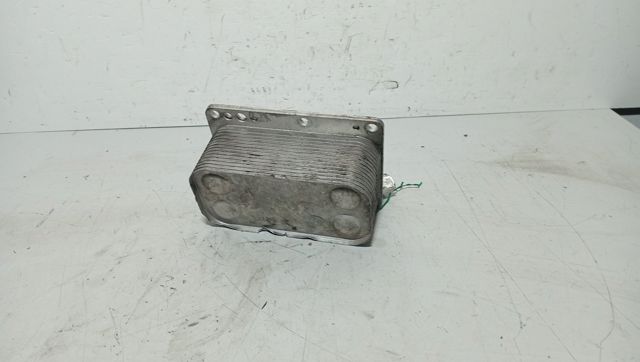 6790972560 Renault (RVI)