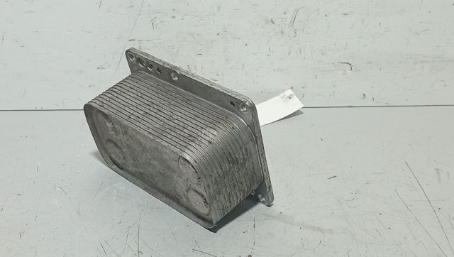 6790972560 RENAULT Radiador de aceite debajo del filtro  en stock Córdoba