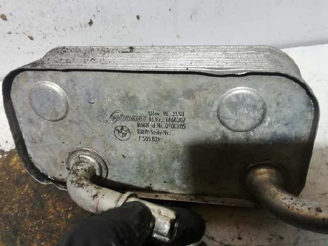 7505826 BMW