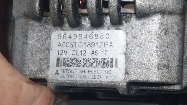 9649846880 Peugeot/Citroen