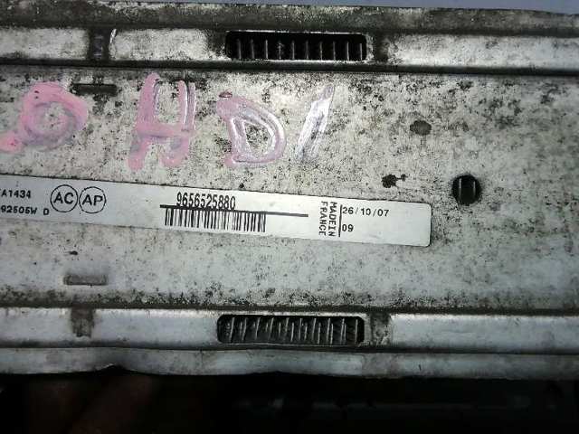 9656525880 Peugeot/Citroen