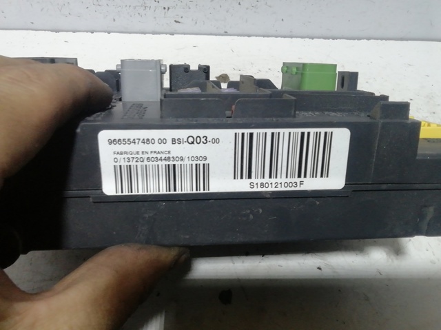 9665547480 Peugeot/Citroen