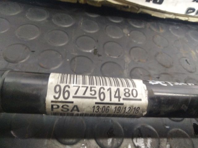 9677561480 Peugeot/Citroen
