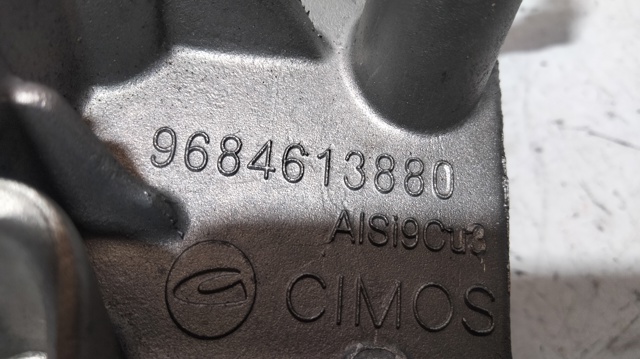 9684613880 Peugeot/Citroen
