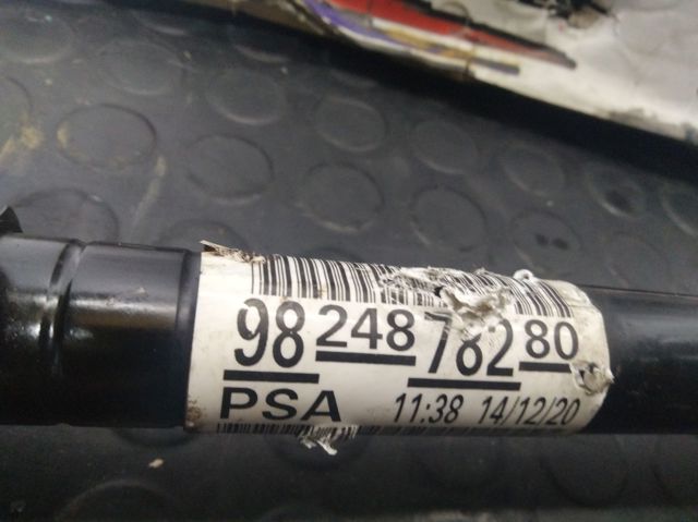 9806699780 Peugeot/Citroen
